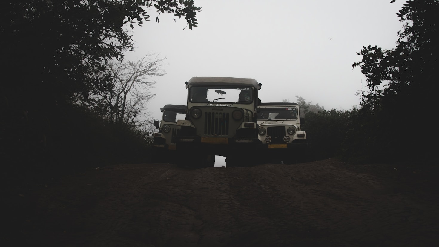 As Vantagens do Off-Road para Conectar-se com a Natureza